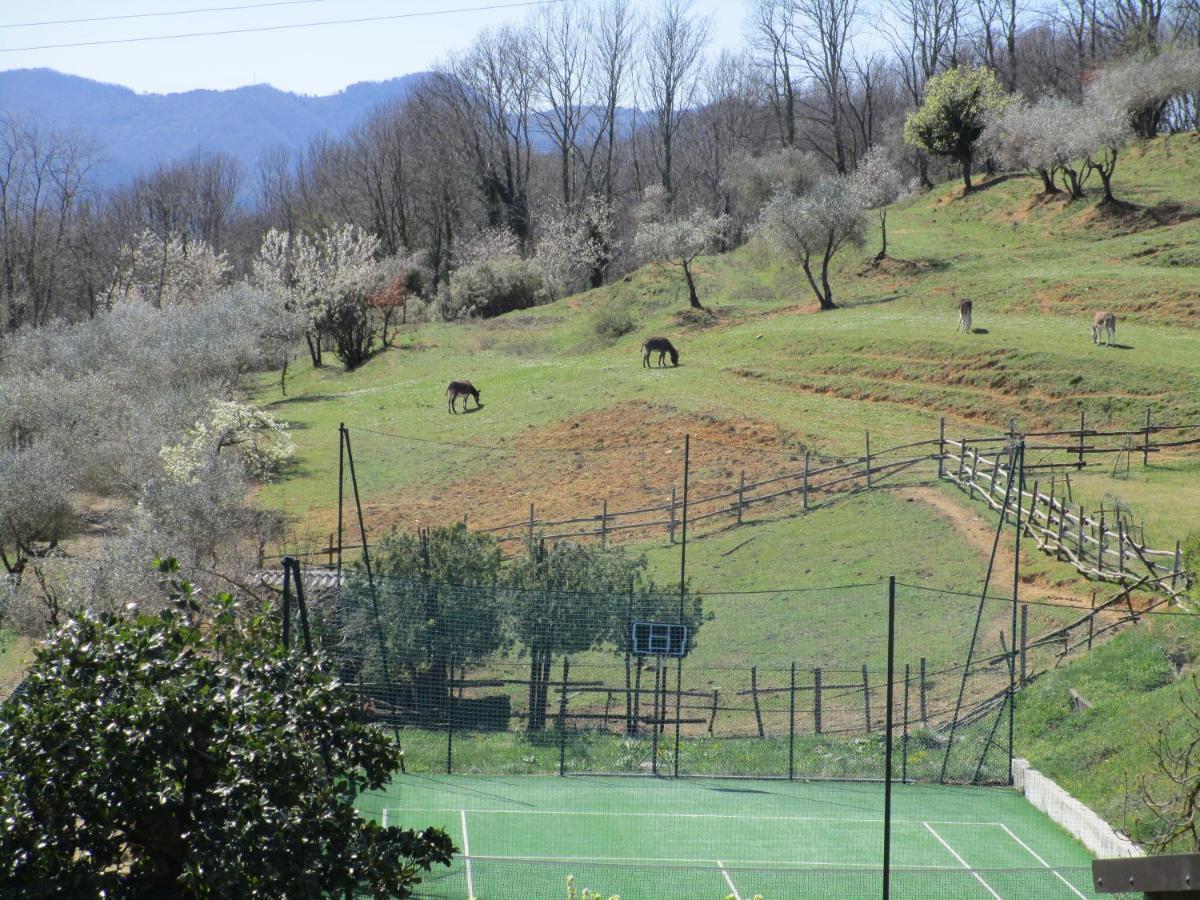 Podere La Piana Fivizzano Exteriör bild