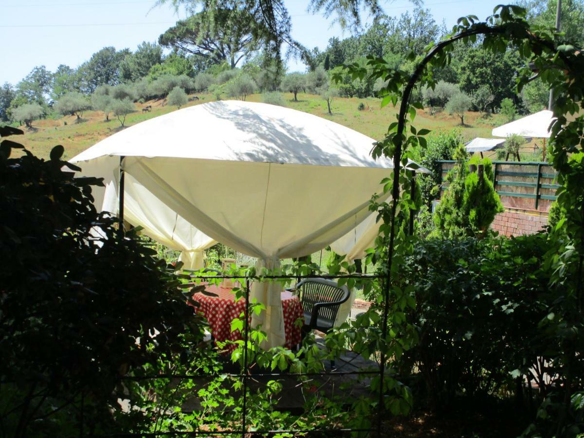 Podere La Piana Fivizzano Rum bild